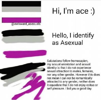Asexual Meme Lgbt Memes