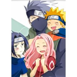 Sensei Quizzes