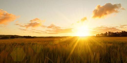 helots had not always been slaves.