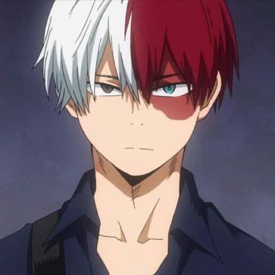 Shoto Todoroki x reader-chan