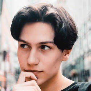 Guess the famous TikToker - Test