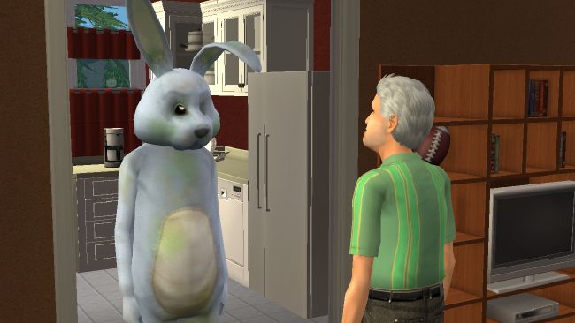 Bunny sim