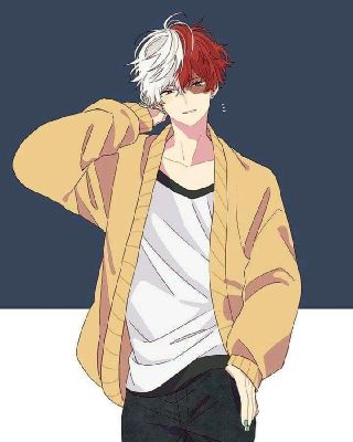 The Scar Shoto Todoroki X Villain Reader