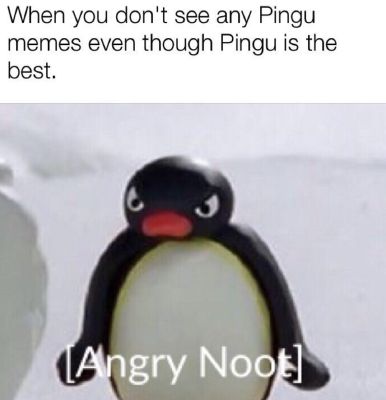 Angry Pingu Memes Angry Pingu Memes