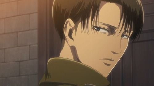 Chapter 1 Levi X Ex Assassin Reader The Little Prince Of Underground