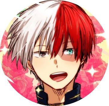 Shoto Todoroki Which My Hero Academia Character Is Your Soulmate