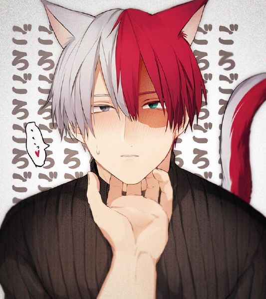 Will Todoroki Love You Or No Quiz