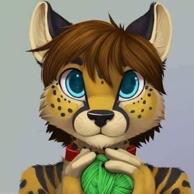 What species should your Fursona be? - Quiz