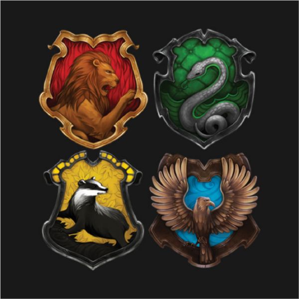 what is your hogwarts house? Quiz