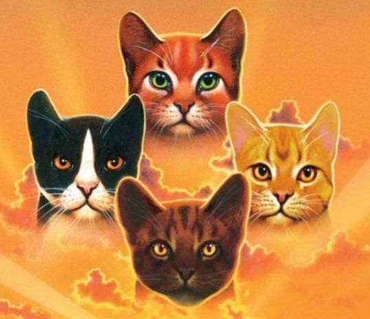 Create A Warrior Cat Quiz