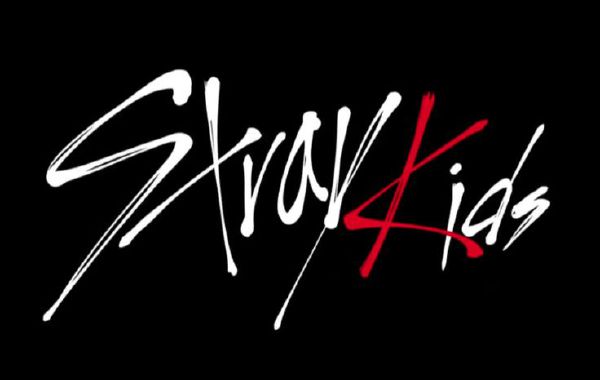 Stray kids логотип без фона