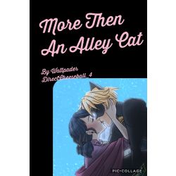 More Then An Alley Cat A Miraculous Fanfiction