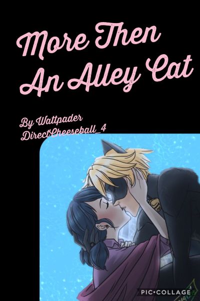 More Then An Alley Cat A Miraculous Fanfiction