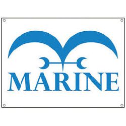 Marine Luffy