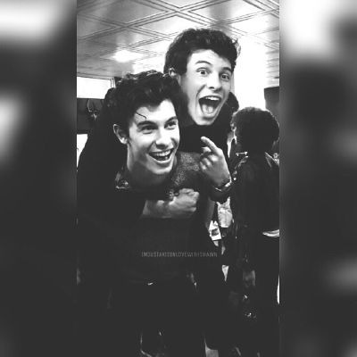 14 | The Mendes Twins ( Shawn Mendes )