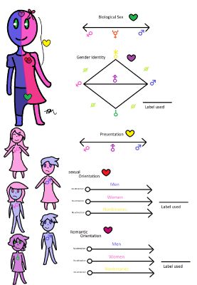 Gender identity quizzes