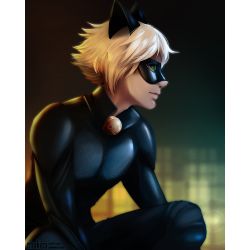 Chat Noir Oneshot