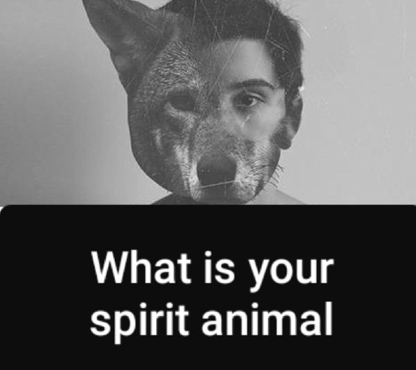 what-is-your-spirit-animal-quiz