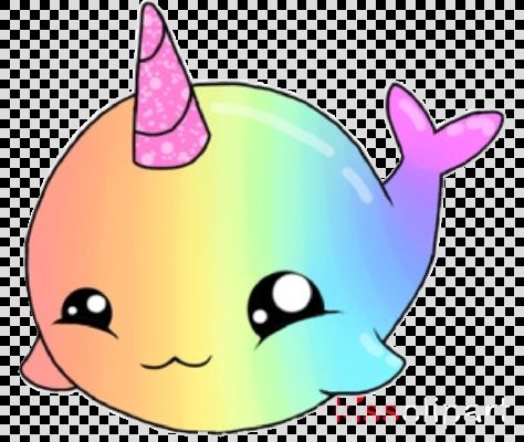 rainbow narwhal