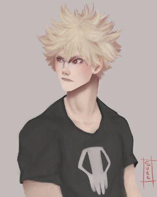 Number One Fan! ( Katsuki Bakugo x Reader ) | My Hero Academia One-Shots