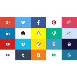 guess the social media logo