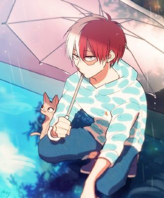 Rain Drips (Shoto Todoroki x Reader) | Beyond Platonic (Male!BNHA x ...