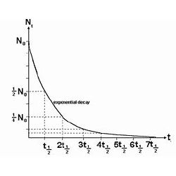 Physics- 12.6 Exponential Law of Decay - Test