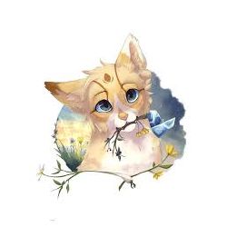 Warrior Cats Herb List With Pictures