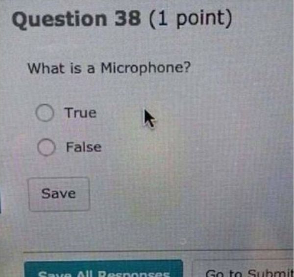 What is a Microphone? Quiz