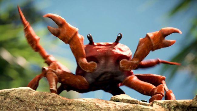 Crab Raves Random Things Found And Memes 3 Please add any additonal comments that will help with the assessment of your report here. quotev