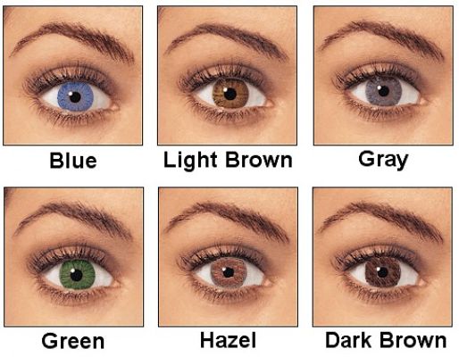 what-eyeshadow-colour-would-suit-you-most-quiz