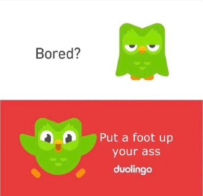 Duolingo Face Roblox