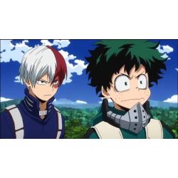 Can You Relate? [BNHA Edition] - Quiz