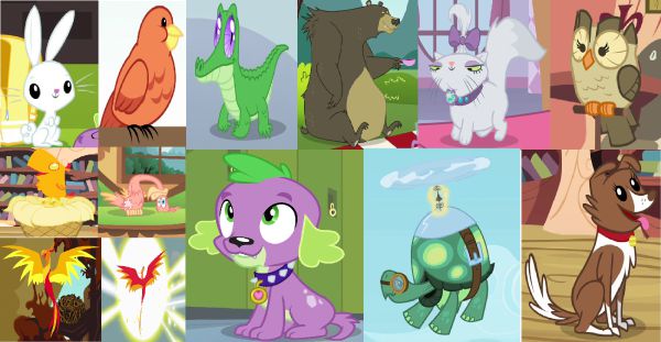 Who is best MLP Pet? - Poll