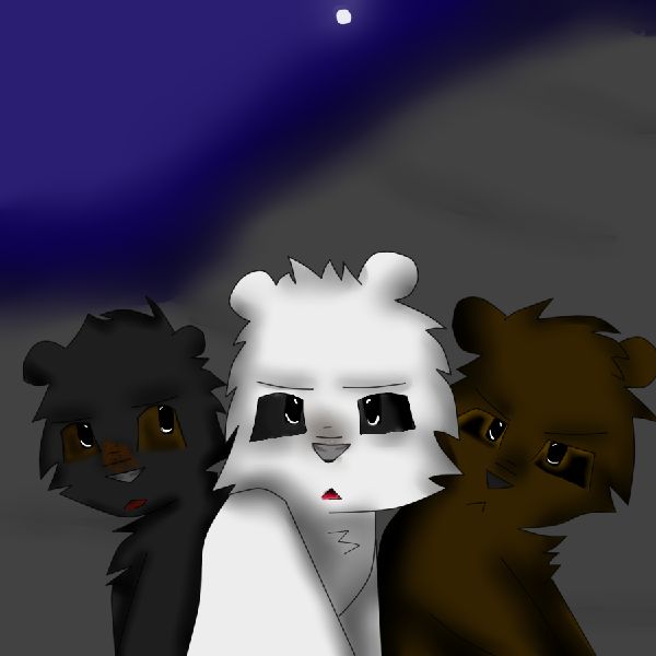 Seekers Bears Quiz Test