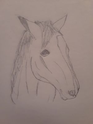 Anyanka Drawing Club Unfinished horse drawing is an image macro of an illustration of a horse split into two halves, one detailed and the other crude. quotev