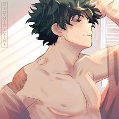 Midoriya Izuku Reader Scars