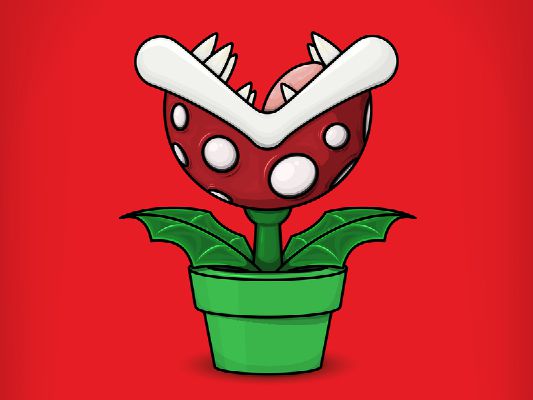 How much do you know Piranha Plant? - Test