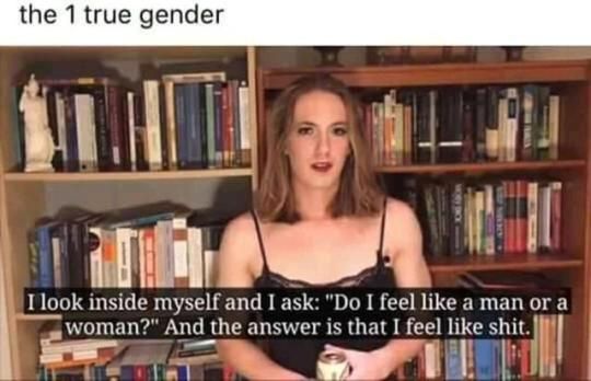 What is your gender? Quiz