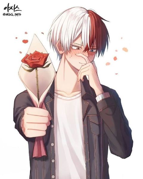 Who are you too shoto todoroki - Quiz