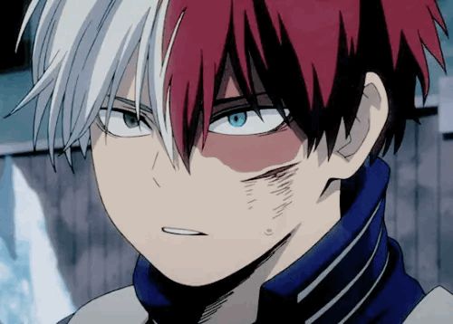 Todoroki X Reader Oneshots