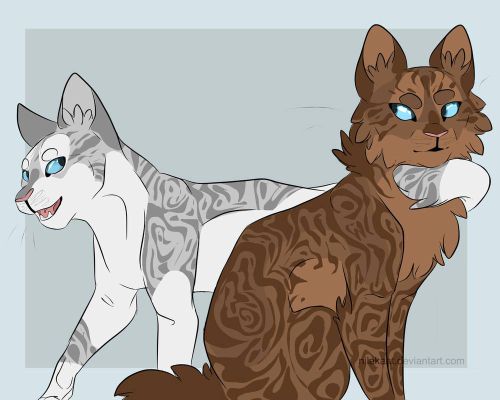 Warrior Cats Ships! - Survey