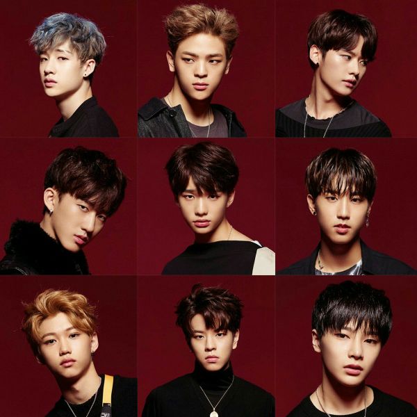 Who's your stray kids bias? Quiz