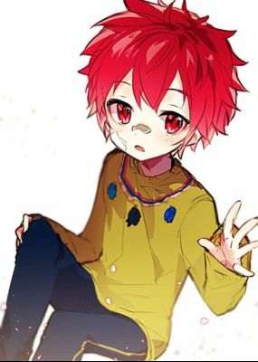 Todoroki X Reader Chapter 1