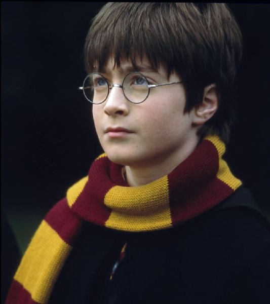 Harry Potter's Twin Brother - Poll