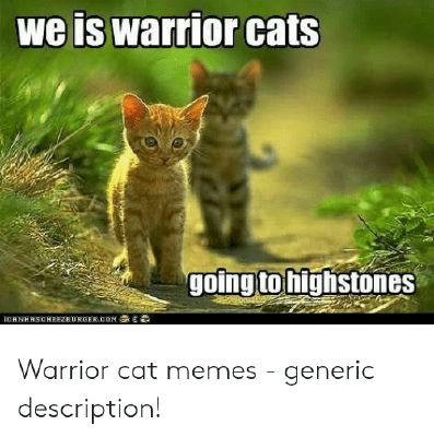 Really Cute Funny Meme Warrior Cat Memes
