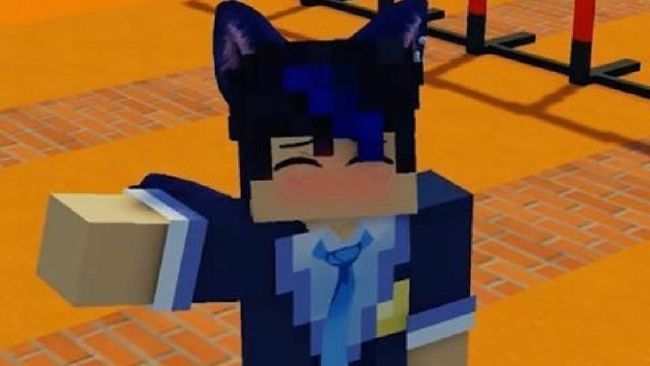 Aphmau ; are you a Meif'wa, werewolf, human ETC - Quiz