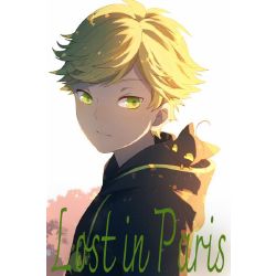 Chapter 2 Lost In Paris Adrienchat Noir X Miraculous