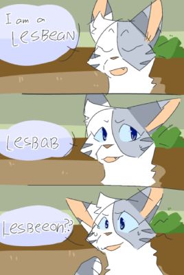 I Love Ivypool Warrior Cat Memes