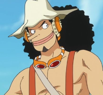 Guess the One Piece Character #1 - Test